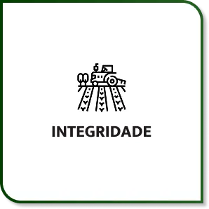 Integridade