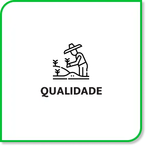Qualidade